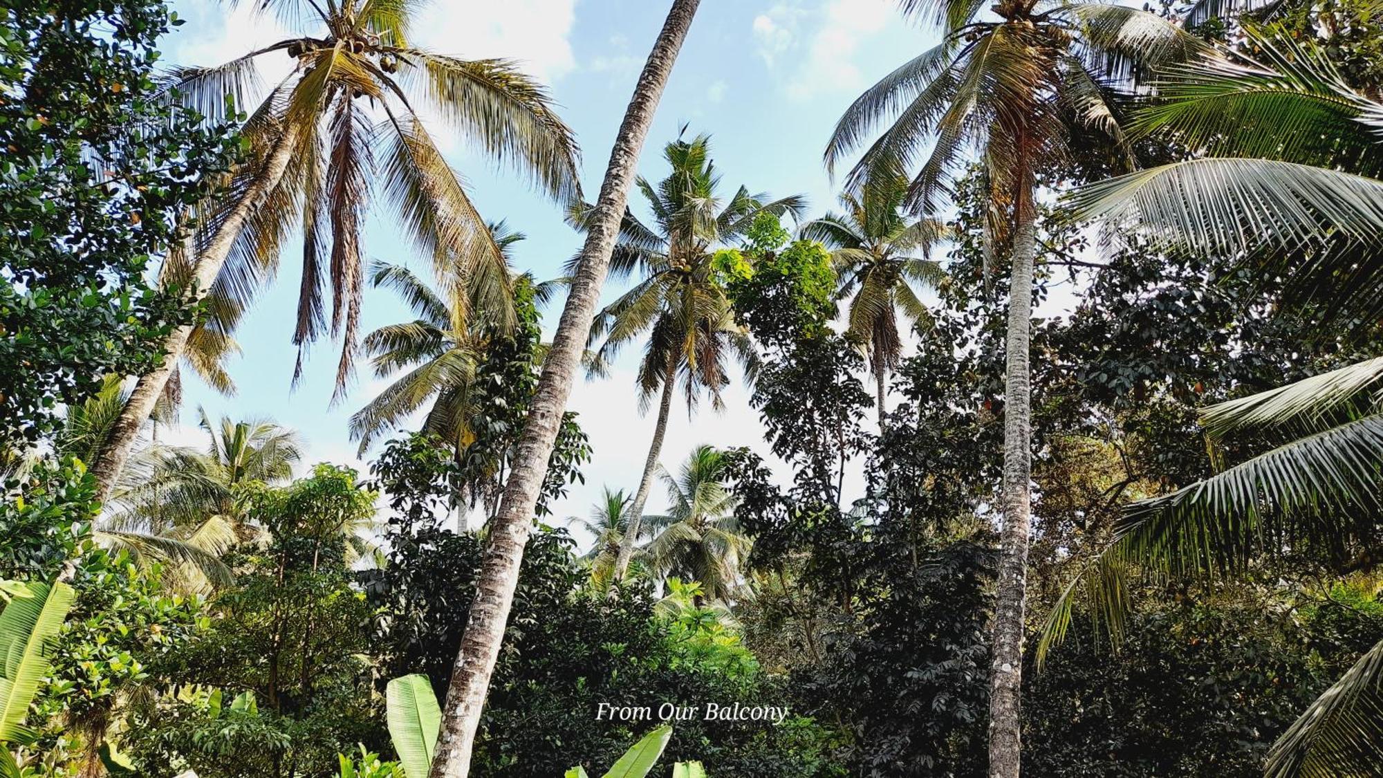 Le Meridien B&B For Foreign Travelers Negombo Exteriér fotografie